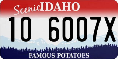 ID license plate 1O6007X
