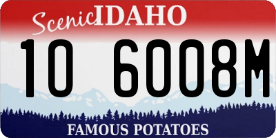 ID license plate 1O6008M