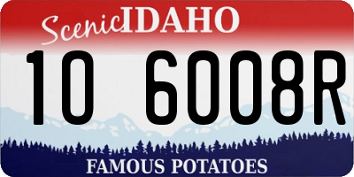 ID license plate 1O6008R
