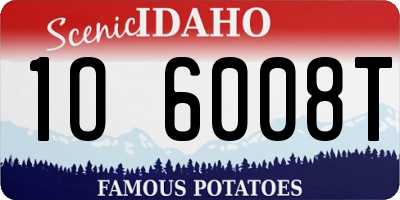 ID license plate 1O6008T
