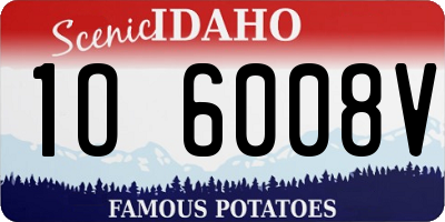 ID license plate 1O6008V