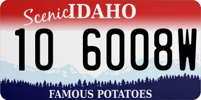 ID license plate 1O6008W