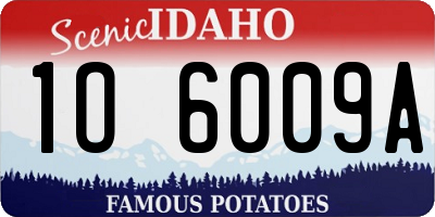 ID license plate 1O6009A