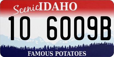 ID license plate 1O6009B