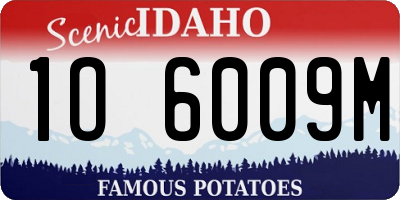 ID license plate 1O6009M
