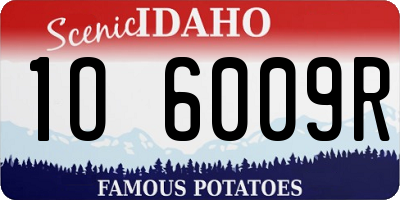 ID license plate 1O6009R