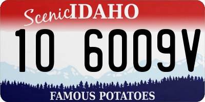 ID license plate 1O6009V