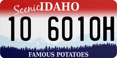 ID license plate 1O6010H