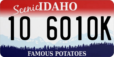 ID license plate 1O6010K