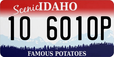 ID license plate 1O6010P