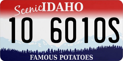 ID license plate 1O6010S