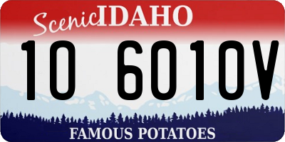 ID license plate 1O6010V