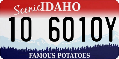 ID license plate 1O6010Y