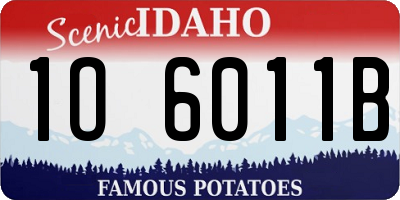 ID license plate 1O6011B