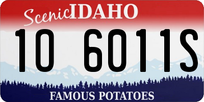 ID license plate 1O6011S