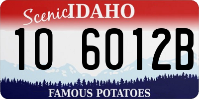 ID license plate 1O6012B