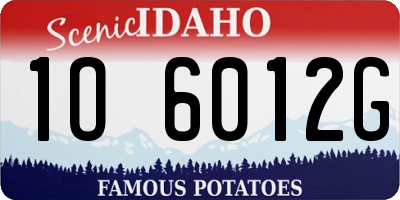 ID license plate 1O6012G