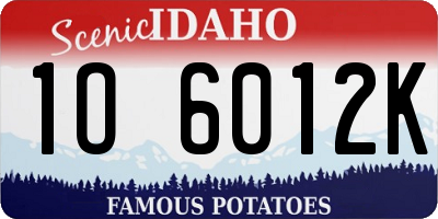 ID license plate 1O6012K