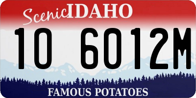 ID license plate 1O6012M