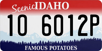 ID license plate 1O6012P