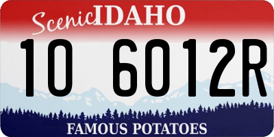 ID license plate 1O6012R