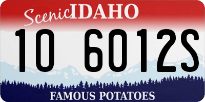ID license plate 1O6012S