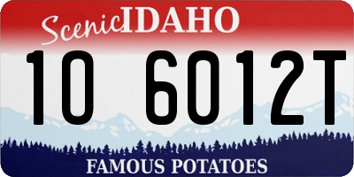 ID license plate 1O6012T