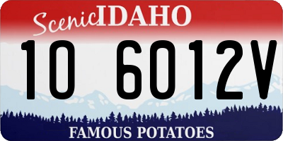 ID license plate 1O6012V