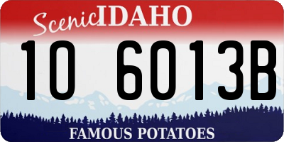 ID license plate 1O6013B