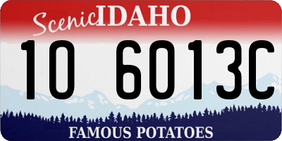 ID license plate 1O6013C