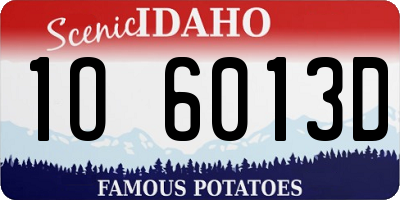ID license plate 1O6013D