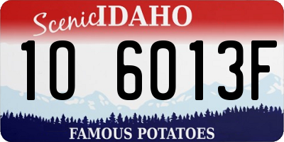 ID license plate 1O6013F