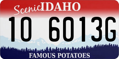 ID license plate 1O6013G