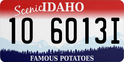 ID license plate 1O6013I