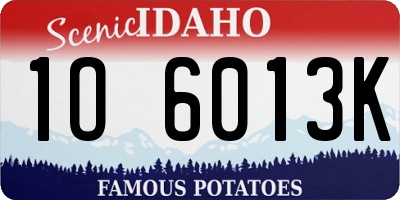 ID license plate 1O6013K
