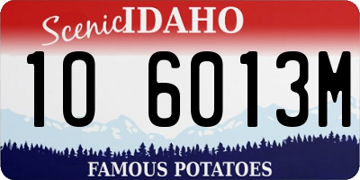 ID license plate 1O6013M