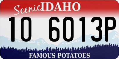 ID license plate 1O6013P