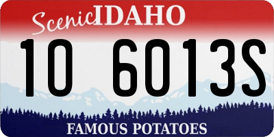 ID license plate 1O6013S
