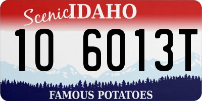ID license plate 1O6013T