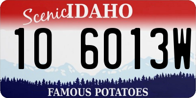 ID license plate 1O6013W