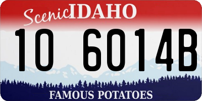 ID license plate 1O6014B