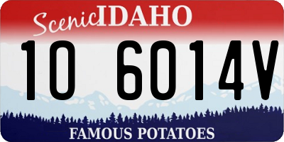 ID license plate 1O6014V