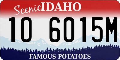 ID license plate 1O6015M