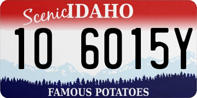 ID license plate 1O6015Y