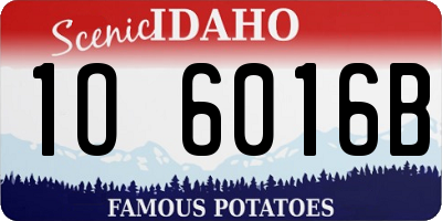 ID license plate 1O6016B