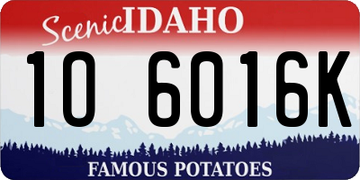 ID license plate 1O6016K