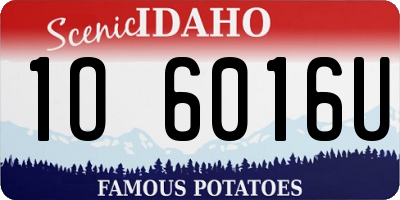 ID license plate 1O6016U