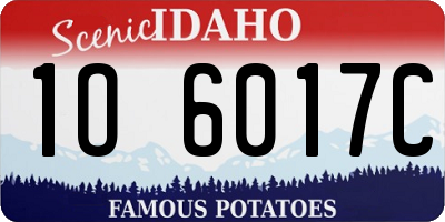 ID license plate 1O6017C