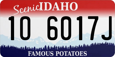 ID license plate 1O6017J
