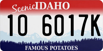 ID license plate 1O6017K